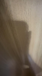 Watch Latinapeituda recorded live streams from CAM4 on 2024/04/12, Cam Archive