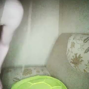 Watch -Barbie-Size- recorded live streams from BongaCams on 2024/02/19, Cam Archive