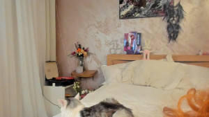 Watch ava_lees recorded live streams from Stripchat on 2025/02/11, Cam Archive