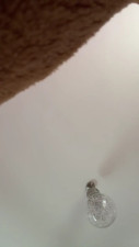 Watch Irisbeby29 recorded live streams from CAM4 on 2025/03/01, Cam Archive