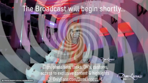 Watch domlioness recorded live streams from Chaturbate on 2025/03/07, Cam Archive