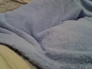 Watch perescam recorded live streams from Stripchat on 2025/03/16, Cam Archive