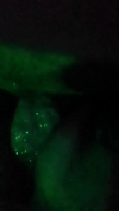 Watch PelaActiv recorded live streams from CAM4 on 2025/03/17, Cam Archive