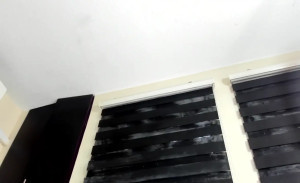 vanesadimaria