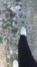 Watch clitonina recorded live streams from CAM4 on 2025/03/20, Cam Archive