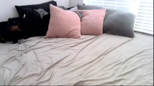 Watch hotwife9 recorded live streams from Chaturbate on 2025/03/22, Cam Archive