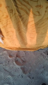 Watch asiahotx recorded live streams from CAM4 on 2025/03/24, Cam Archive