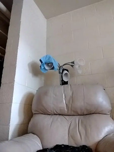 TickleMeKink