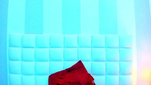 teresasroom_
