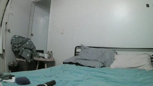 lestatslover