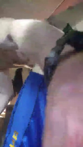 Watch dandanger63 recorded live streams from CAM4 on 2025/05/28, Cam Archive