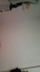 Watch Fanii_94 recorded live streams from CAM4 on 2025/06/23, Cam Archive