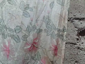 Watch asianblossom recorded live streams from BongaCams on 2025/06/20, Cam Archive