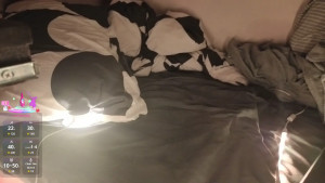 Watch smmmmmmr recorded live streams from Stripchat on 2025/06/19, Cam Archive