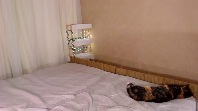 Watch ted_lliana recorded live streams from Stripchat on 2025/06/19, Cam Archive