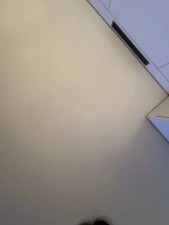 Watch TheCinderella recorded live streams from Stripchat on 2025/08/06, Cam Archive