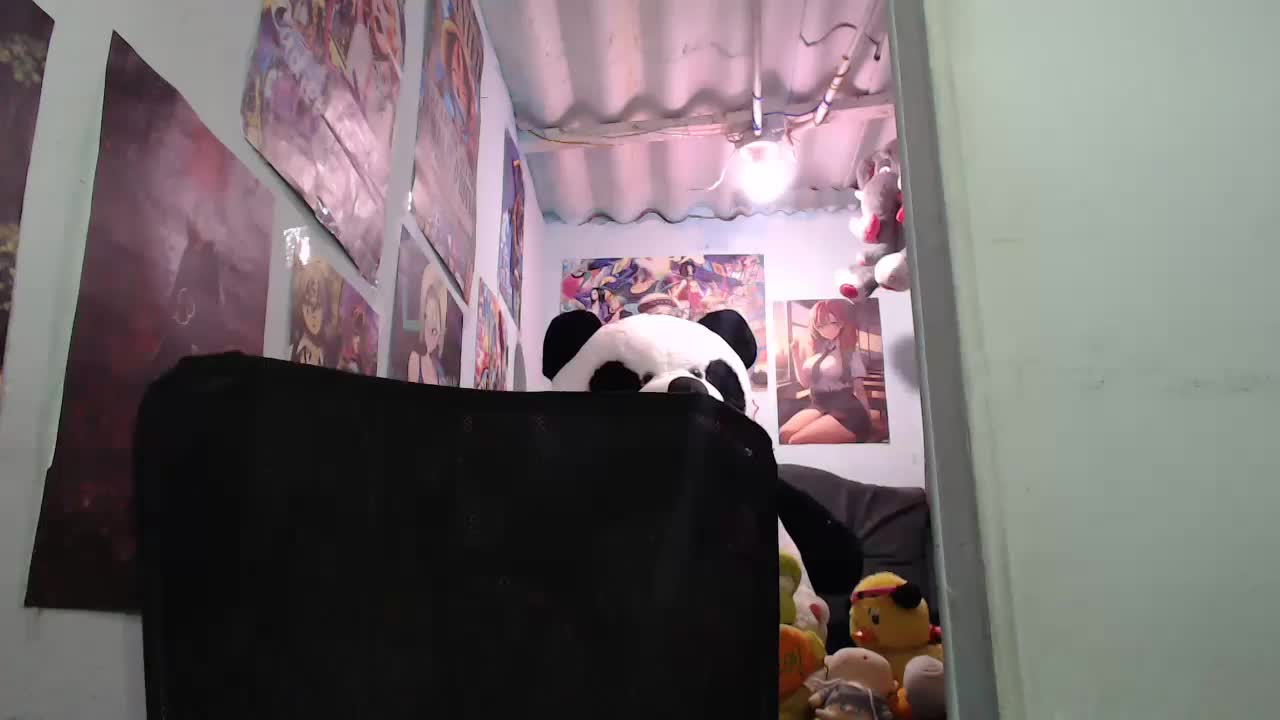 Watch SWEETT_CORY recorded live streams from Stripchat on 2026/02/20, Cam Archive