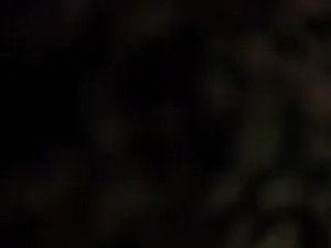 Watch DarkHorse89 recorded live streams from Stripchat on 2026/02/01, Cam Archive