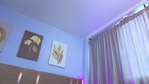 Watch salomee_foxx_ recorded live streams from Chaturbate on 2026/01/12, Cam Archive