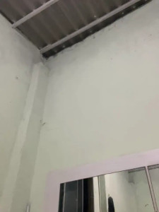 Watch casalskunk recorded live streams from Stripchat on 2025/12/25, Cam Archive