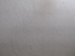 Watch Miss_Whitney recorded live streams from Stripchat on 2025/12/10, Cam Archive