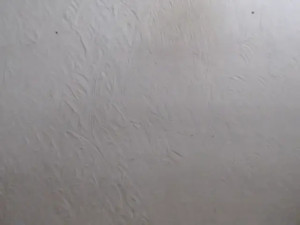 Watch Miss_Whitney recorded live streams from Stripchat on 2025/12/10, Cam Archive