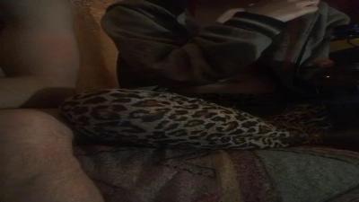 Watch Offline33 recorded live streams from BongaCams on 2023/11/27, Cam Archive