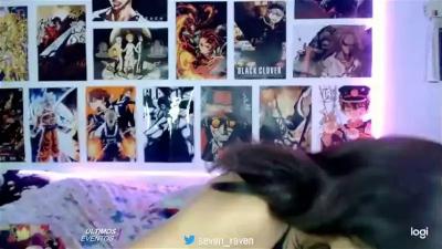 Watch ravenseven7 recorded live streams from Chaturbate on 2023/12/13, Cam Archive